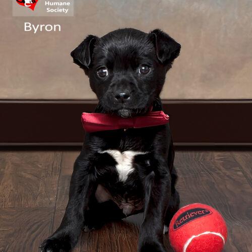 Byron