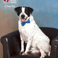 Charlie