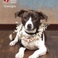 Georgia