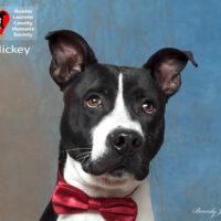 Mickey