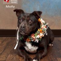 Molly