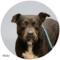 Molly