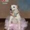 Dottie
