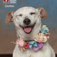 Dottie