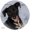 Duke