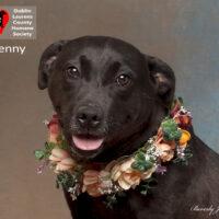 Jenny