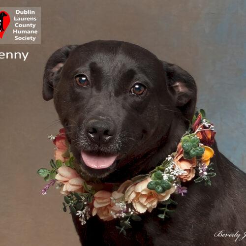 Jenny