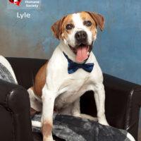 Lyle