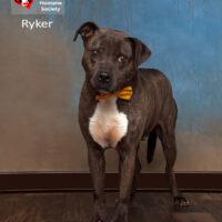 Ryker
