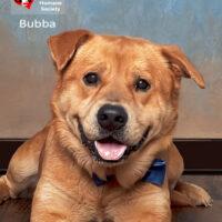 Bubba