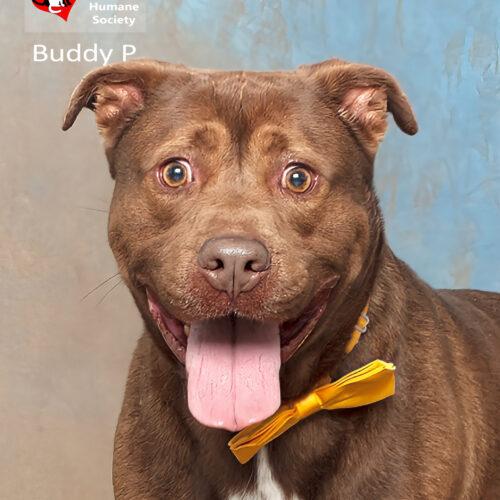 Buddy P