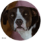 Ernie