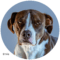 Ernie