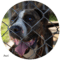 Ernie
